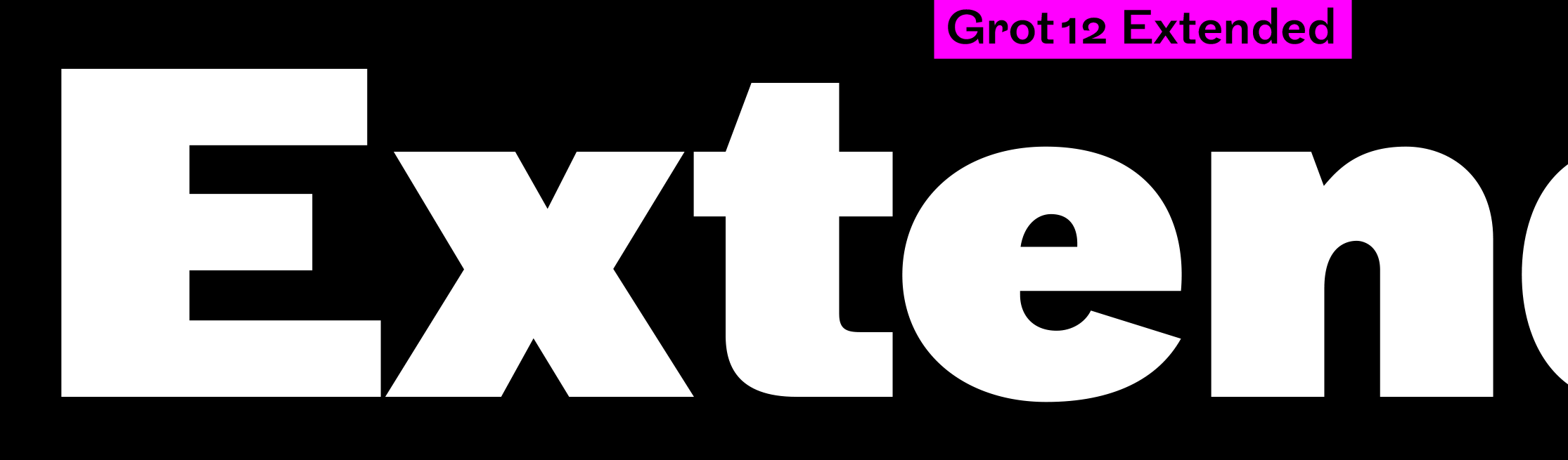 Grot12 Extended sample