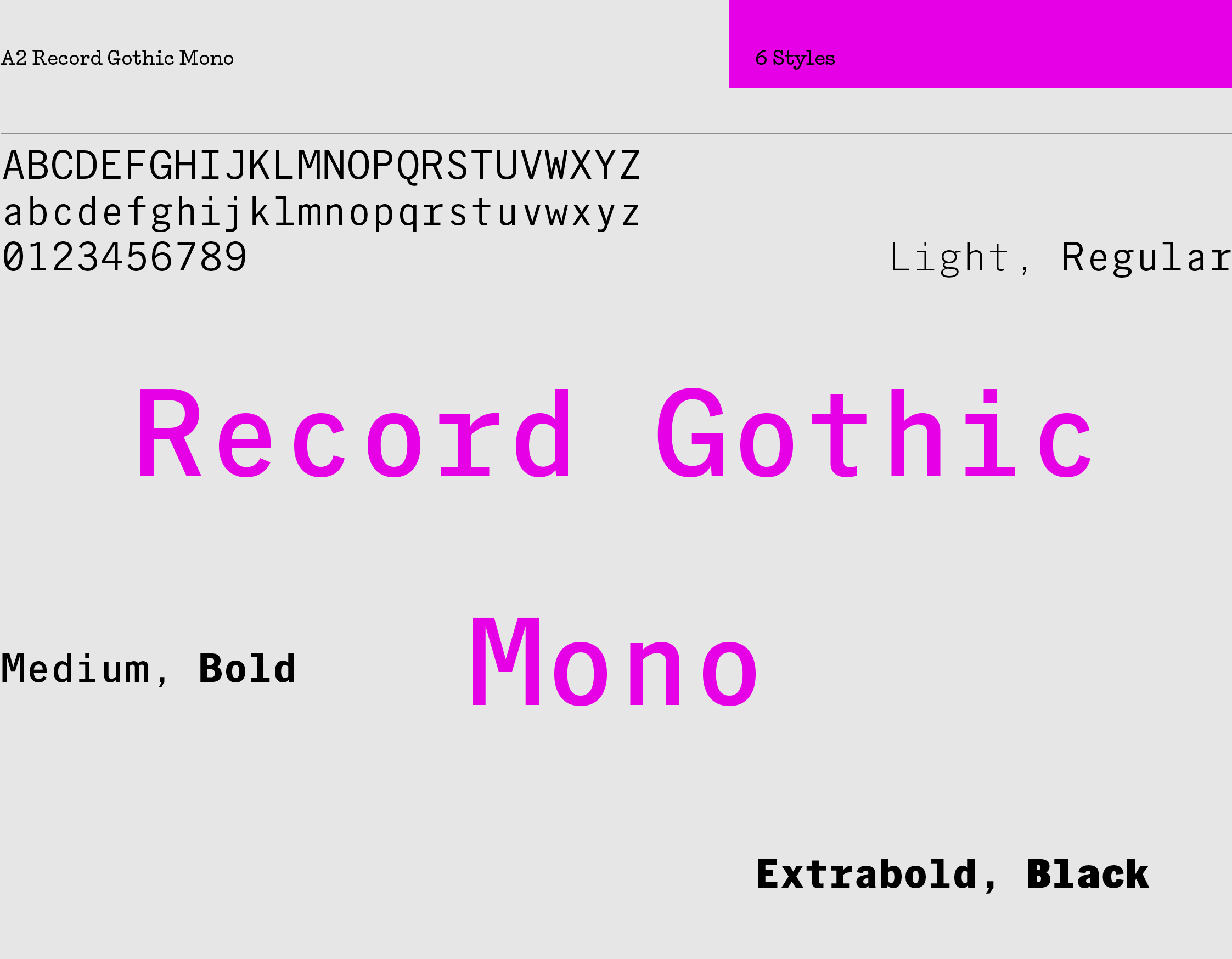 A2 Record Gothic Mono sample